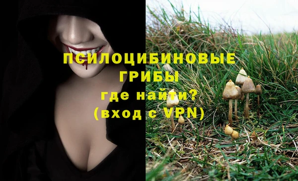 эйфоретик Бугульма