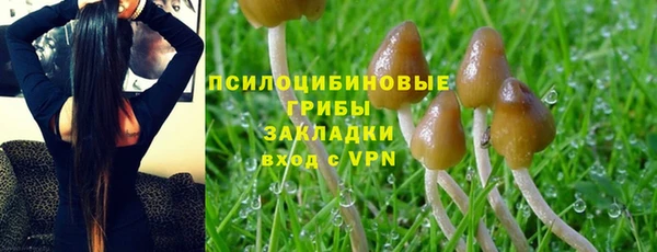 эйфоретик Бугульма